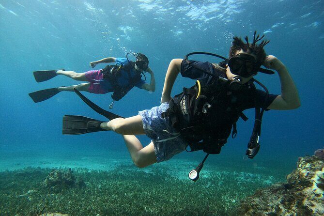 Beginner Scuba Diving Adventure at Chankanaab - The Sum Up