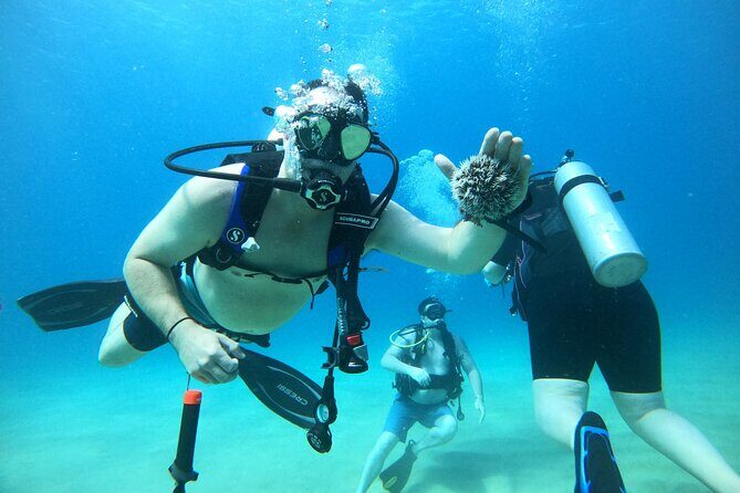 Beginner Scuba Diving Guided Tour - No Experience Required - An Introduction to the Tour Experience