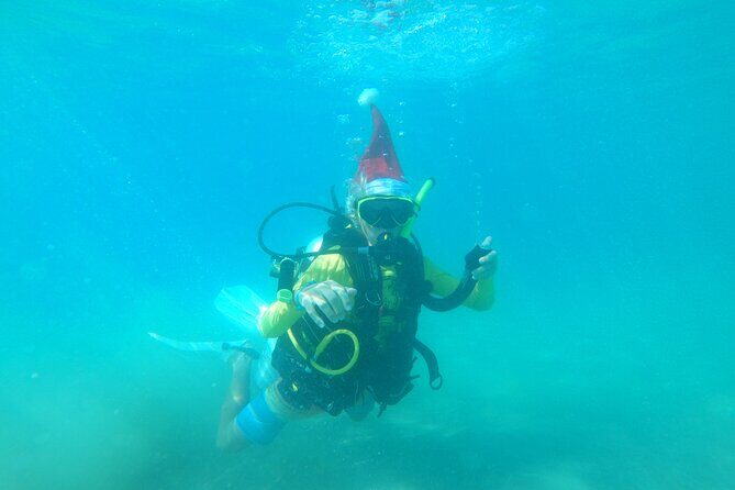 Beginner Scuba Diving Guided Tour - No Experience Required - Practical Details and Considerations