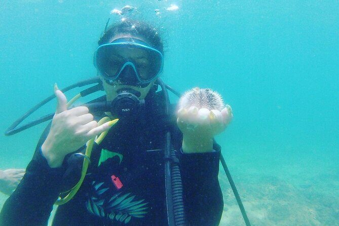 Beginner Scuba Diving Guided Tour - No Experience Required - FAQ