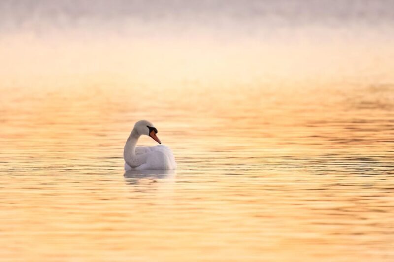 Beginners Wildlife Photography Workshop - How to Make the Most of Your Experience