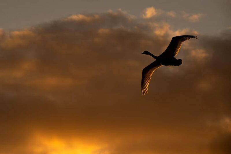Beginners Wildlife Photography Workshop - Final Thoughts: Is This the Right Experience for You?