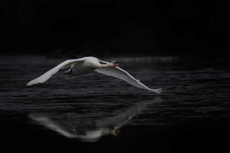 Beginners Wildlife Photography Workshop - Frequently Asked Questions