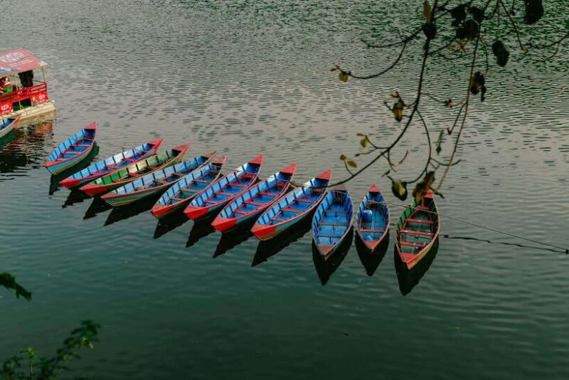 Begnas Lake Freshwater Fish Hunt & Culinary Experience - A Gentle Introduction to the Tour