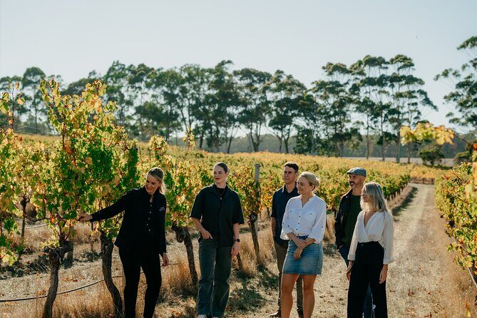 Behind The Scenes Tour - Additional Highlights from Reviews