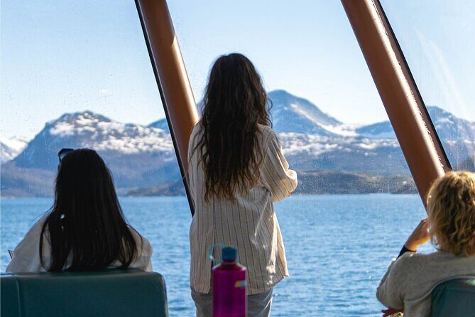 Beiarfjord & Saltstraumen Cruise with Guide - Comfort and Practicalities