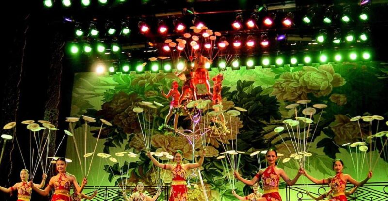Beijing: Acrobatic Show With Peking Duck Dinner Private Tour - Tour Details