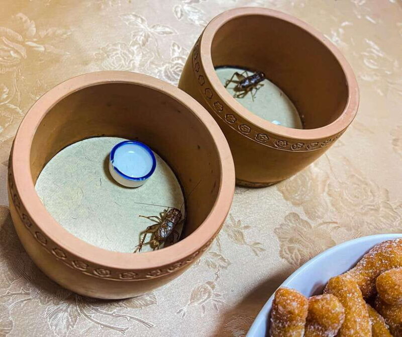 Beijing: Best Hutongs Cultural Tour for the Cricket Fights - An In-Depth Look at the Hutongs Cultural Tour