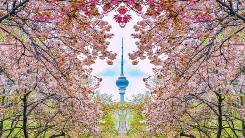 Beijing: Central Radio & TV Tower Observation Deck Ticket - An In-Depth Look at the Experience