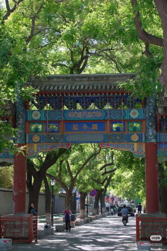 Beijing: Hutong Culture and Tea Tasting Private Tour - Who Will Love This Tour?
