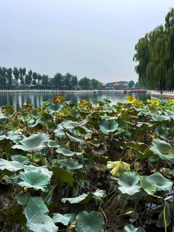 Beijing: Hutongs & Drum Tower City Walking Tour - Final Thoughts