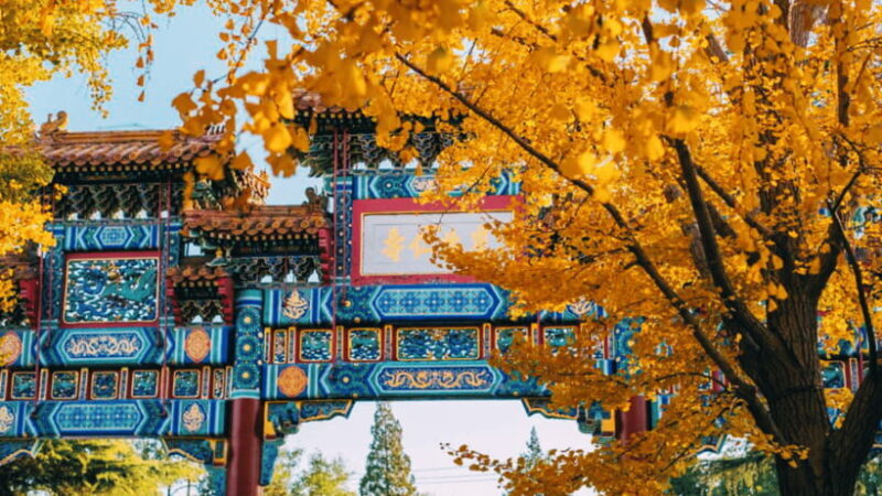 Beijing: Lama Temple (Yonghe Temple) Admission Ticket - Who Will Love This Tour?