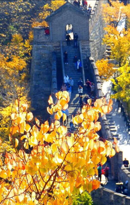 Beijing: Mutianyu Great Wall Bus Tour with Ticket &Cable car - An In-Depth Look at the Tour Experience