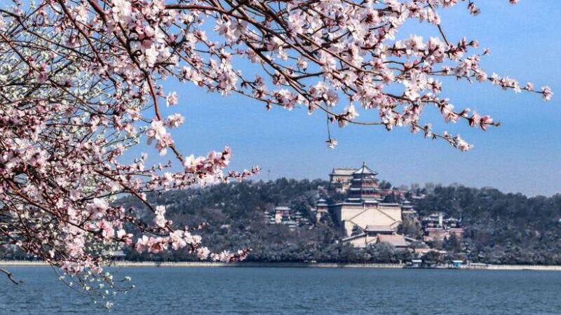 Beijing: Mutianyu GreatWall and Summer Palace Guided Tour - In-Depth Look at the Tour Experience