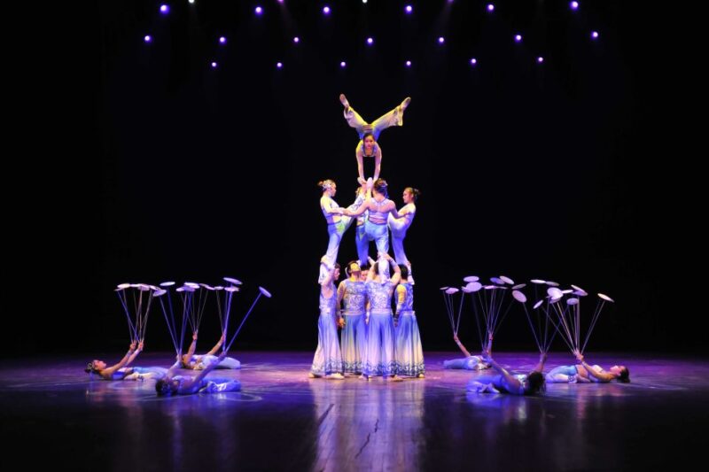 Beijing: Night Tour of Acrobatics Show Including Transfer - Good To Know