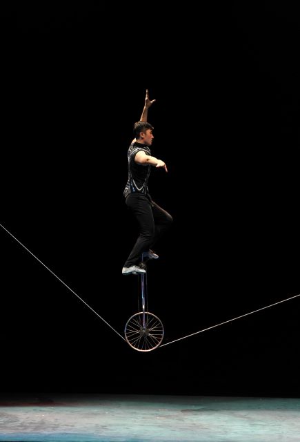 Beijing: Night Tour of Acrobatics Show Including Transfer - Experience and Highlights