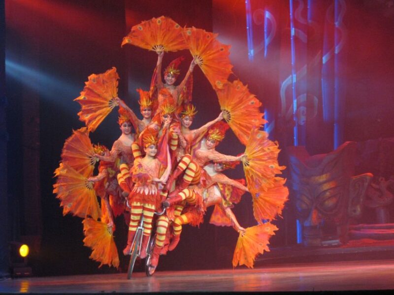 Beijing Night Tour With Acrobatics Show & Pekingduck Dinner - Inclusions