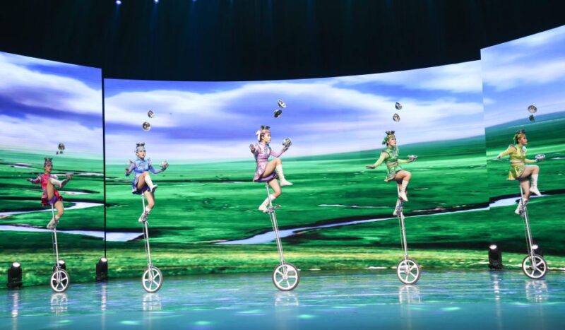 Beijing Night Tour With Acrobatics Show & Pekingduck Dinner - Customer Feedback