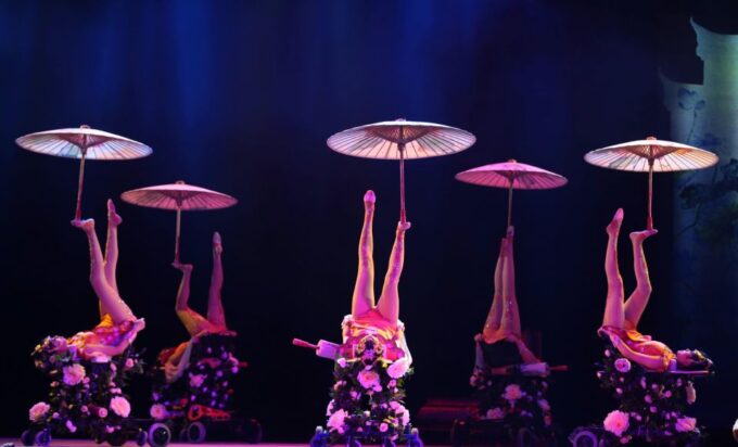 Beijing Night Tour With Acrobatics Show & Pekingduck Dinner - Acrobatics Show