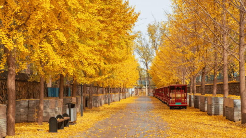 Beijing: Old Summer Palace Ruins Park Admission Ticket - FAQ