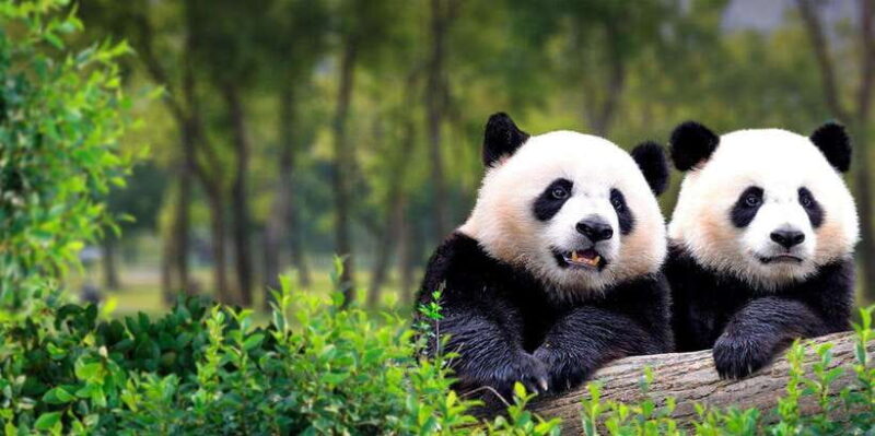 Beijing Private City Tour by Subway with Various Options - Who Will Love This Tour?