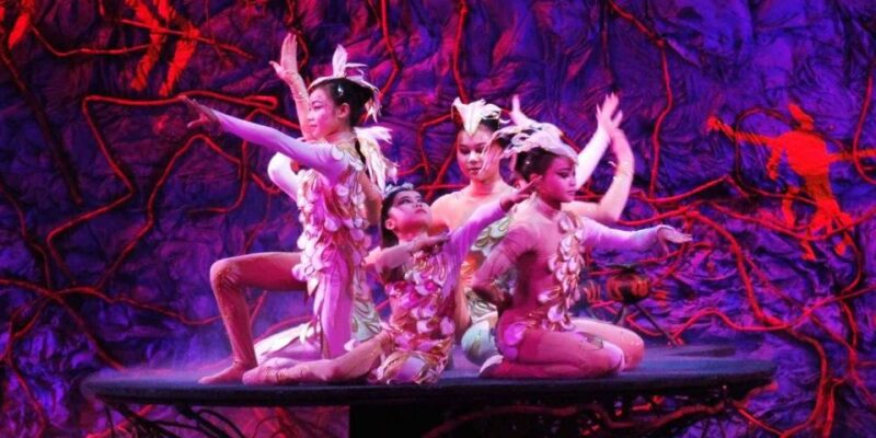 Beijing: Red Theater Acrobatic Show Tickets - Good To Know