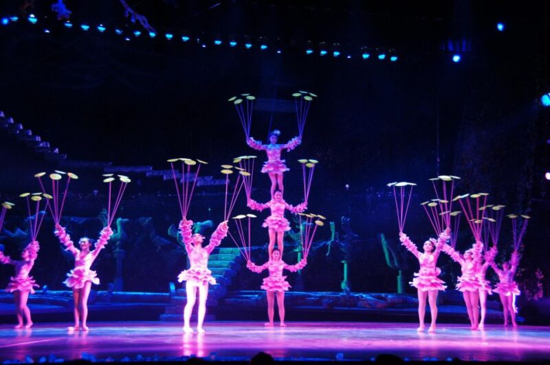 Beijing: Red Theater Acrobatic Show Tickets - Customer Testimonials