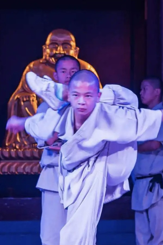 Beijing: Shaolin Temple Day Tour by Round Trip Bullet Train - Visit to Shaolin Temple