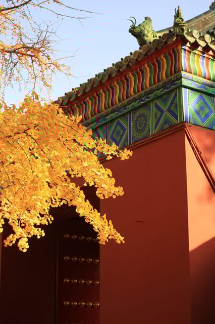Beijing: Temple of Earth Ticket; Serene, Majestic, Ancient - Experience Highlights