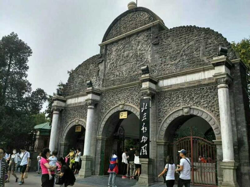 Beijing: The Beijing Zoo Entry Ticket with Pandas - The Sum Up: Who Is This Tour Best For?
