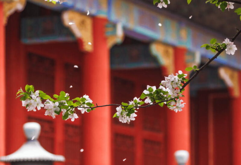 Beijing: Tiananmen Square and Forbidden City Entry Tickets - The Sum Up