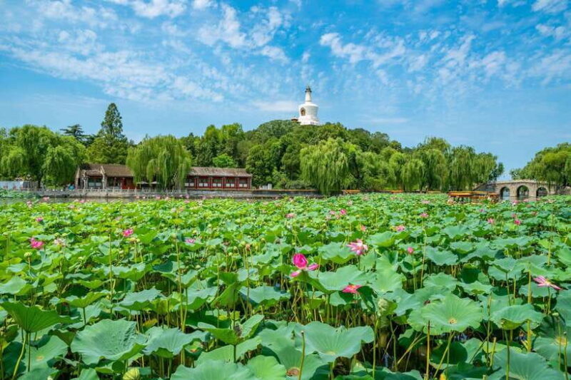 Beijing: Tiananmen Square & Forbidden City Guided Tour - Analyzing the Value