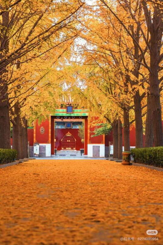 Beijing: Yonghegong Lama Temple with Entry Tickets - Key Points