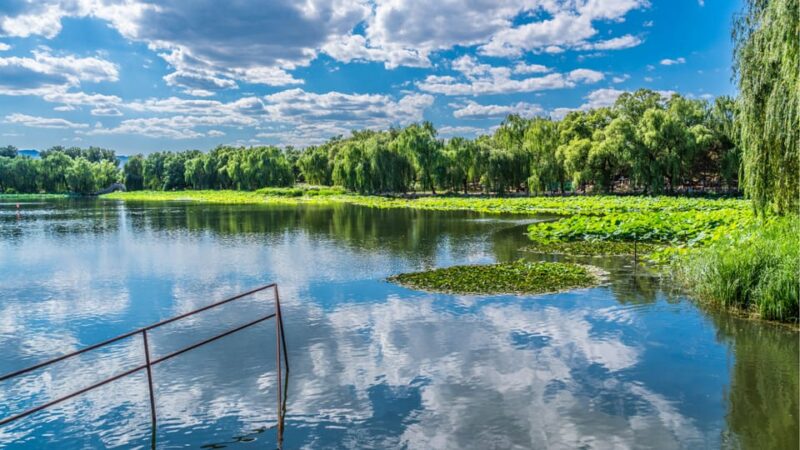 Beijing: Yuanmingyuan Park (Garden of Gardens) E-Ticket - Architectural Highlights