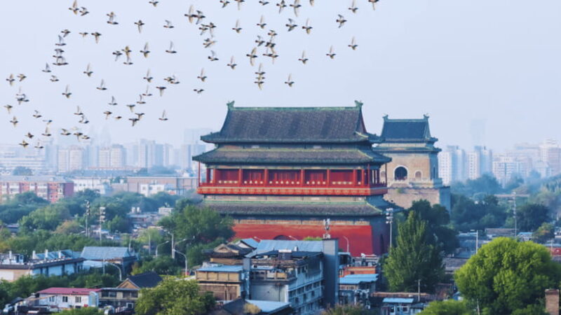 Beijing:Drum and Bell Towers Entry Ticket- Cultural Treasure - Final Thoughts: Who Will Appreciate This Tour?