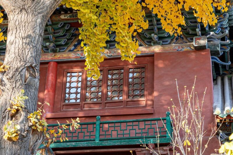 Beijing's Hidden Delights: Dong Si Hutong Food Tour - Good To Know