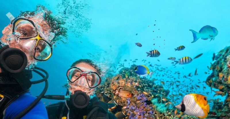 Belek: Scuba Diving in the Mediterranean Sea - Experience the Underwater World