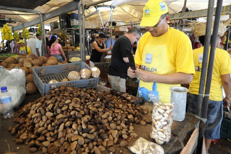 Belém: Half-Day City Tour With Ver-O-Peso Market Visit - Historical Significance of Belém