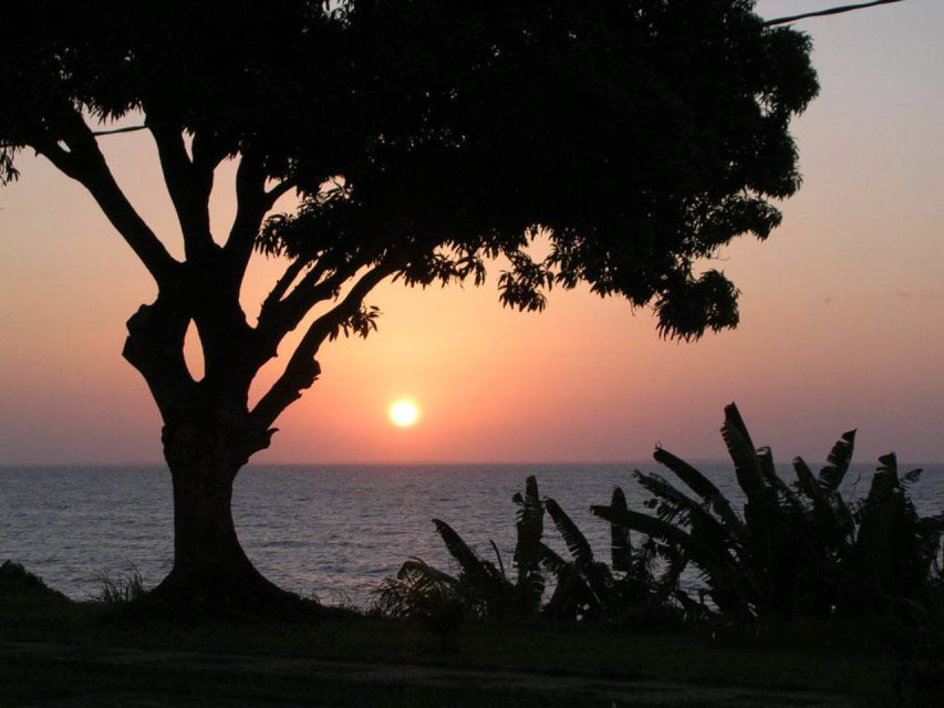 Belém: Mosqueiro Island River Beach Trip - Tips for Planning Your Visit
