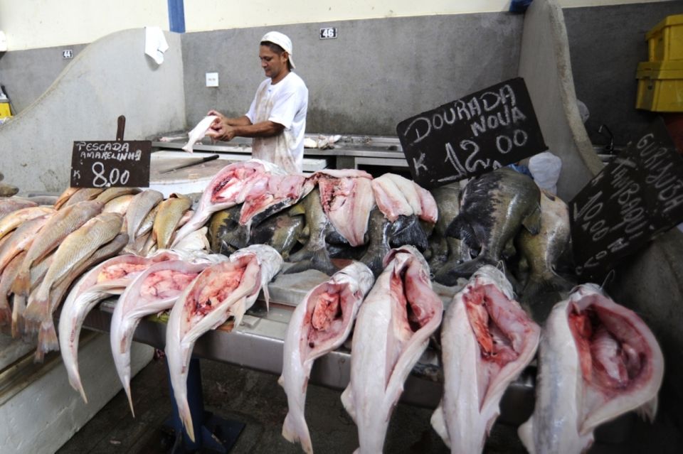 Belém: Ver-O-Peso Market and Full-Day City Tour With Lunch - Location and Context