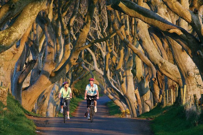 Belfast - Giants Causeway , Dunluce Castle and Dark Hedges - Visiting the Giants Causeway and Dunluce Castle