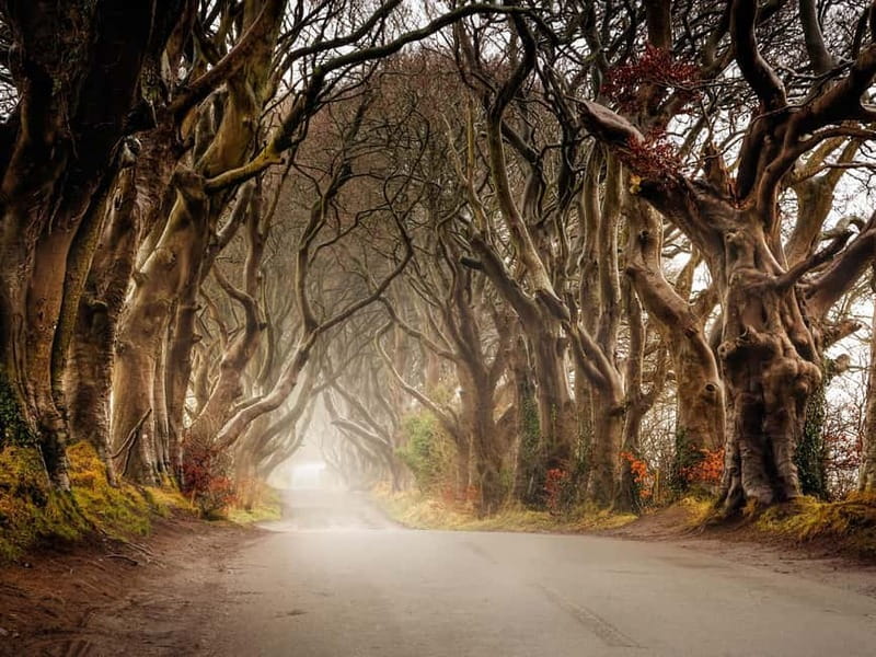 Belfast: Giant's Causeway Tour and 2-Day Open Top-Bus Tour - A Closer Look at the Itinerary and Experience