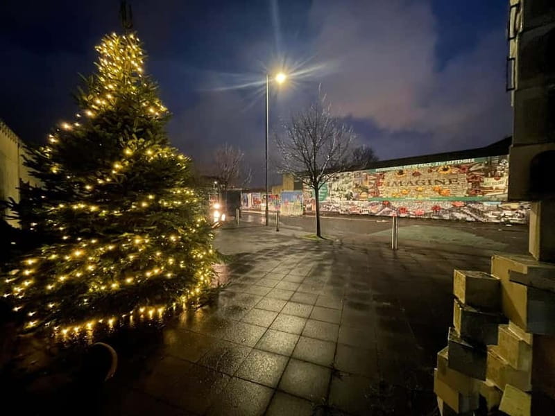 Belfast: Peace Wall & Mural Tour - Belfast: Peace Wall & Mural Tour — An Authentic Look at a City in Transition