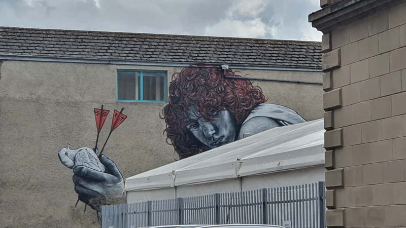 Belfast Troubles : Murals, Street Art, and Peace Wall Tour - Who Will Really Appreciate This Tour?