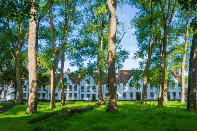 Belgium: Guided Tour of Bruges - Accessibility Options