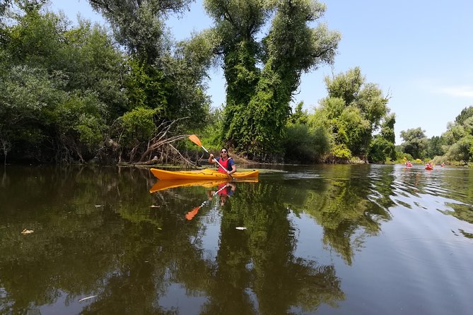 Belgrade Amazon Kayak Adventure - Customer Reviews and Feedback