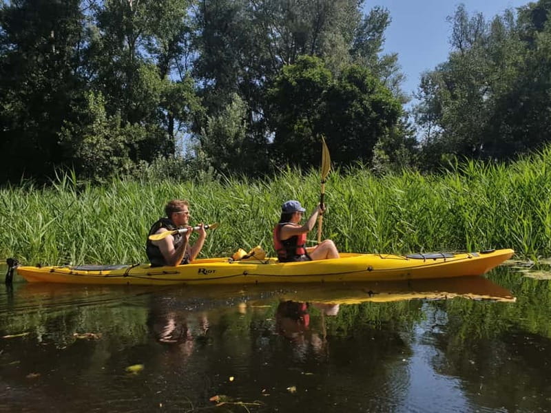 Belgrade: Great War Island Kayak Adventure - Introduction: A Different Way to See Belgrade