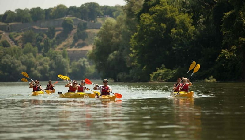 Belgrade: Great War Island Kayak Adventure - The Experience Provider and Booking
