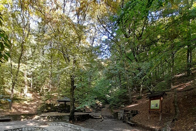 Belgrade Hiking Tour On Mountain Avala - Experiencing the Mountain