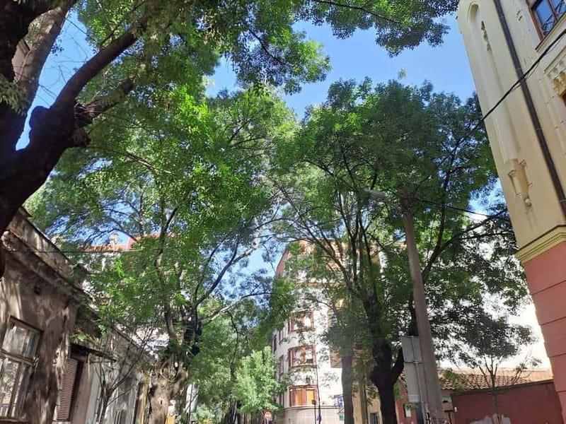 Belgrade: Jewish walking tour - Who Should Sign Up?